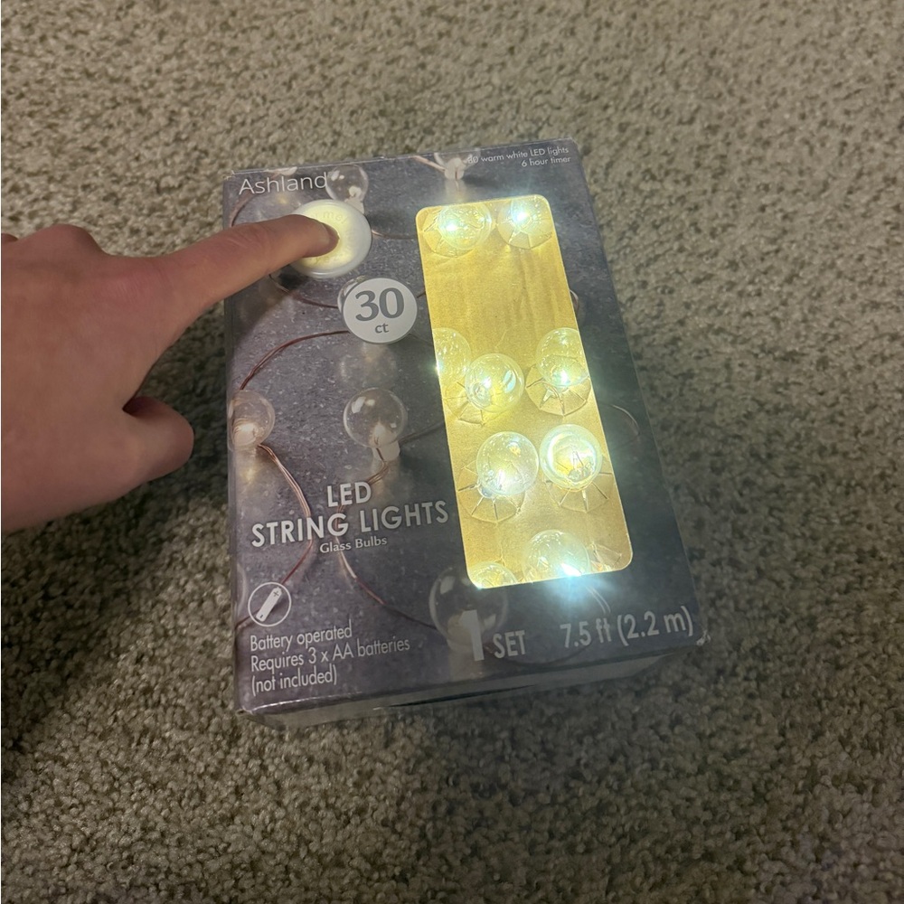 Ashland LED String Lights